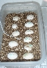 RES eggs