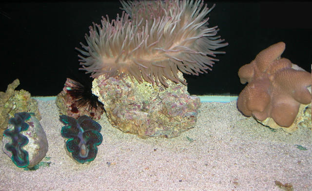 Saltwater Photos
