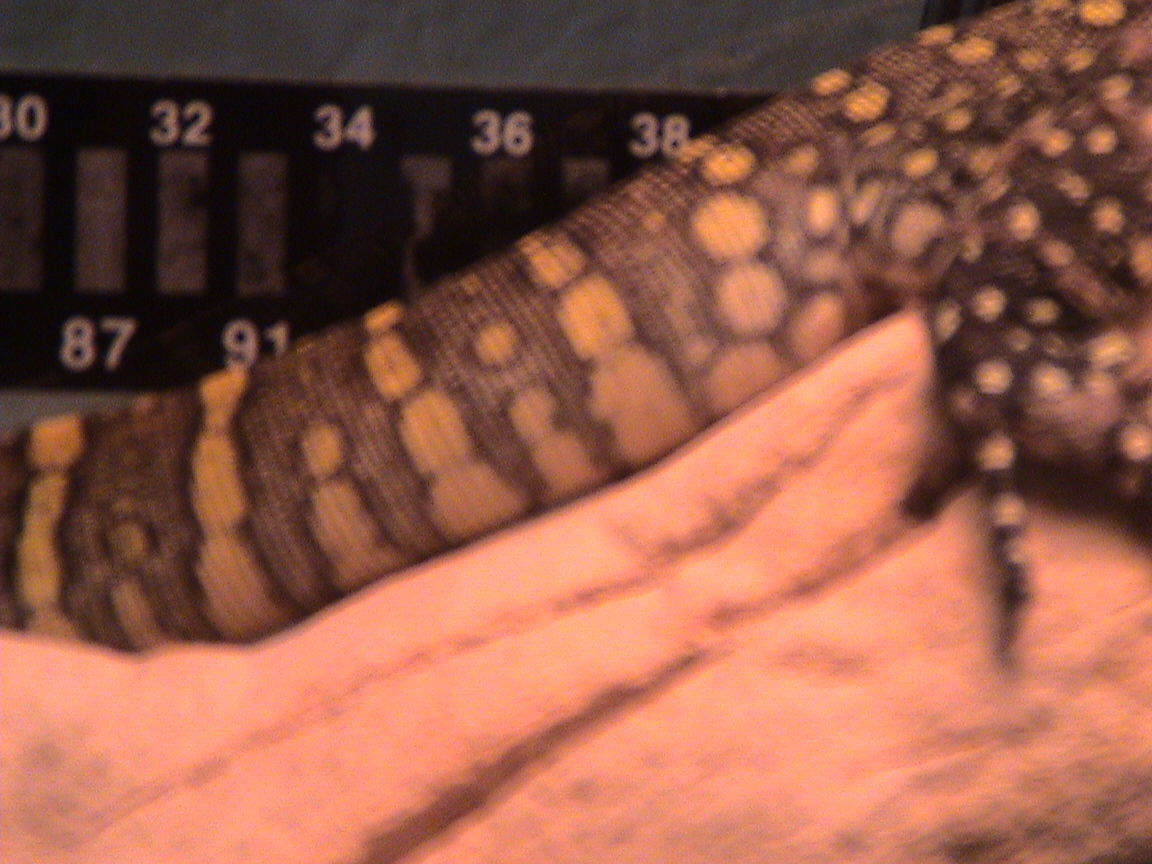 my niles sweet tail!!