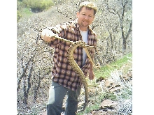 Great basin2