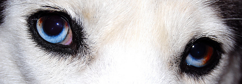 Kyla's eyes
