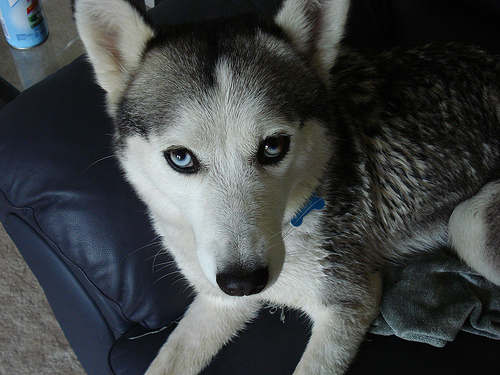 after bath