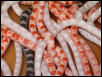 Bunch of Snakes