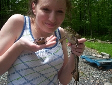 Bullfrog and Toad