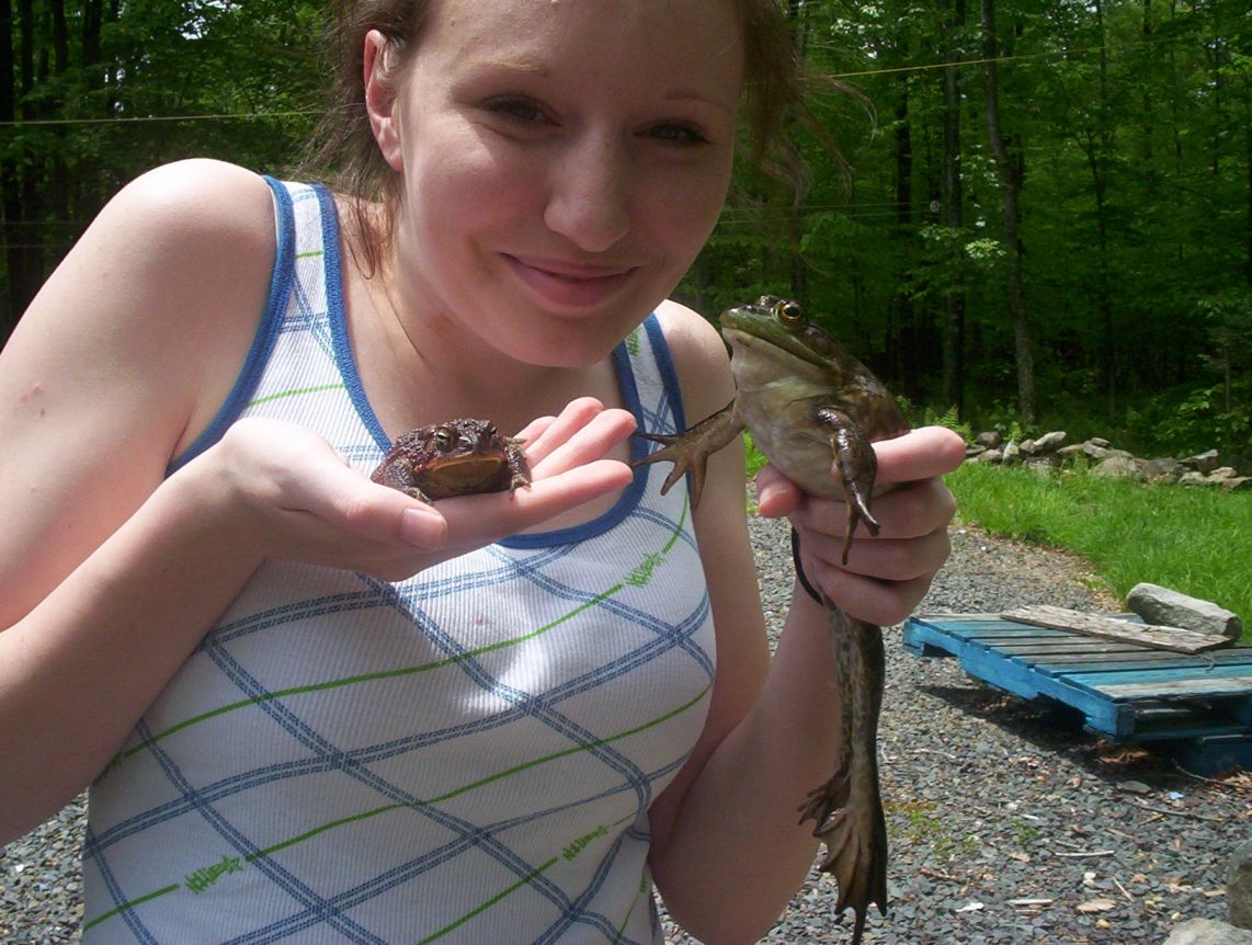 Bullfrog and Toad