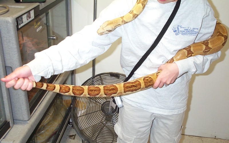 hypo female 3