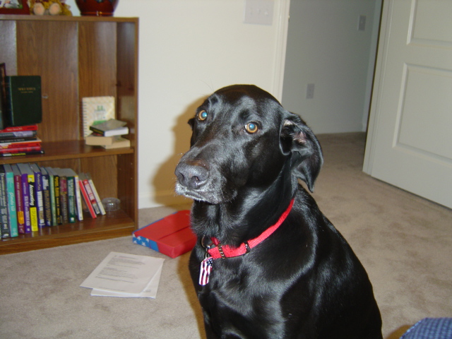 DIGGS