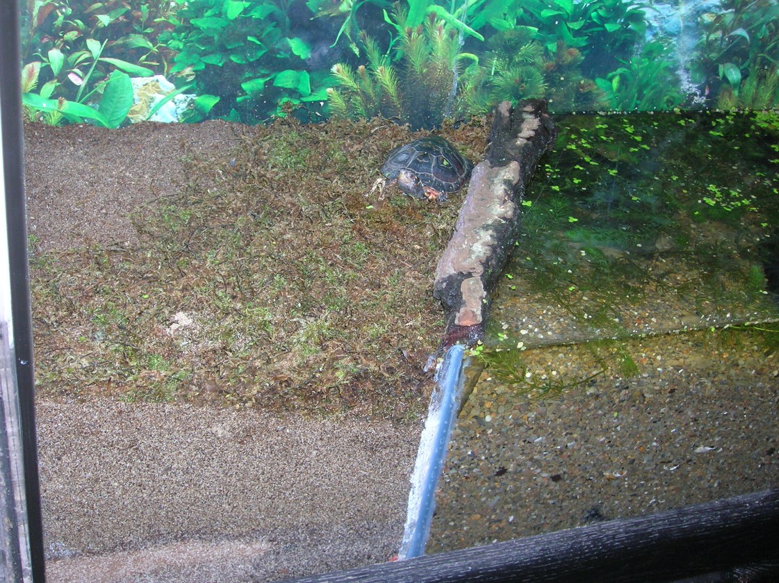 bark barrier