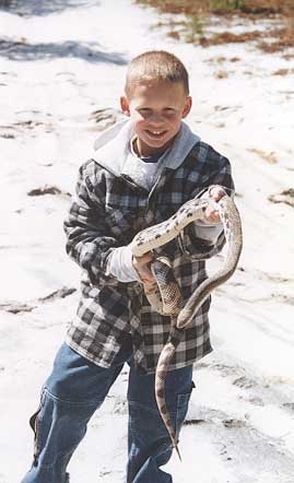 My son and a Pine Snake
