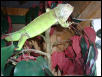 Rex  8-26-02