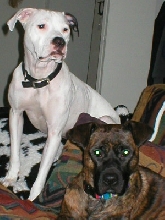 Obie & Erzulie