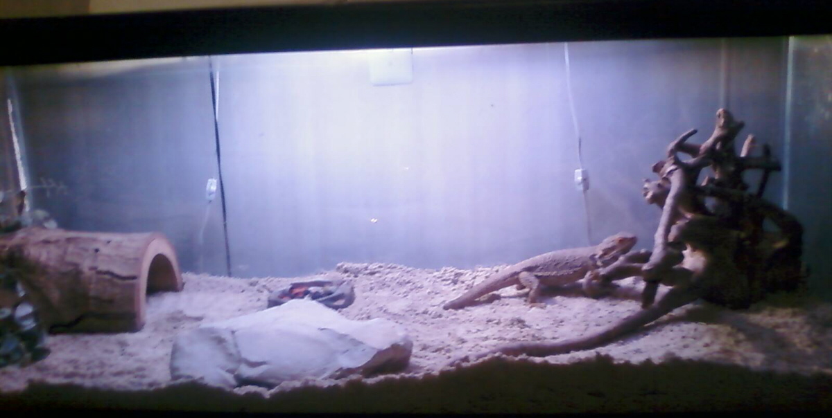 Matildas new house