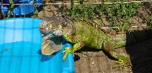 Digit outside