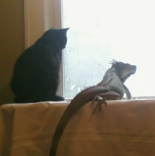 Tootie and Dog the Bounty Hunter