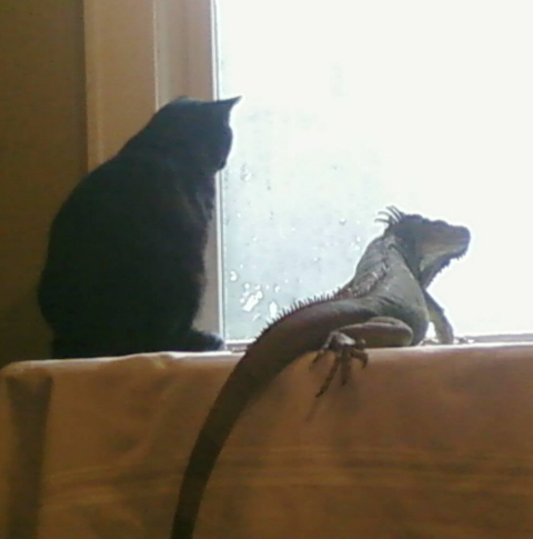 Tootie and Dog the Bounty Hunter