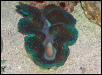 Saltwater Photos