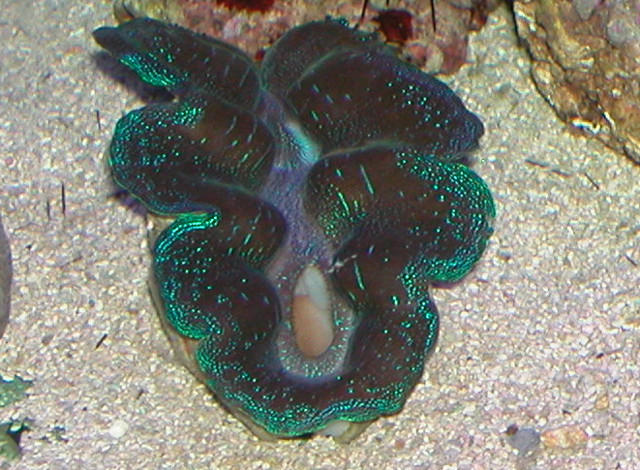 Saltwater Photos