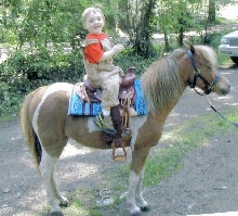 My first horse