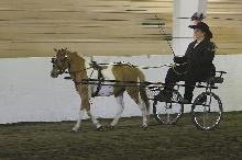 Fun at the show