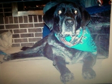 My Oscar