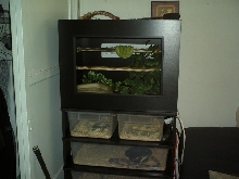 My rack and PVC cage