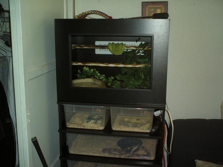 My rack and PVC cage