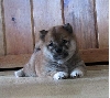 5 weeks old