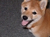 how ya doin