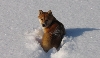 winter1