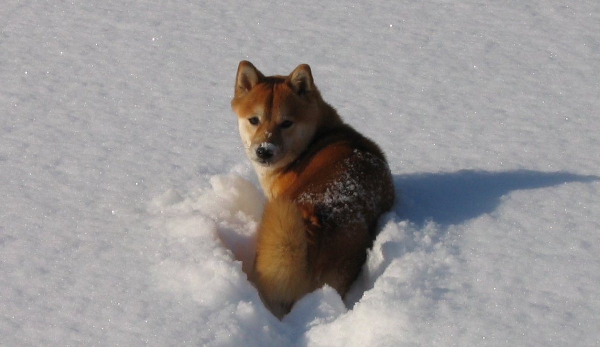 winter1