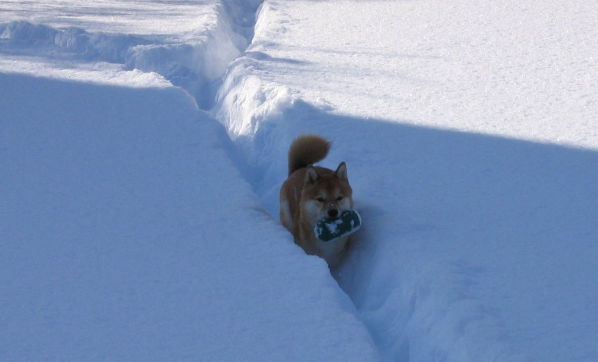 winter6