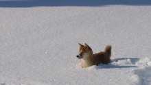 winter2