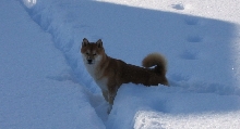 winter5