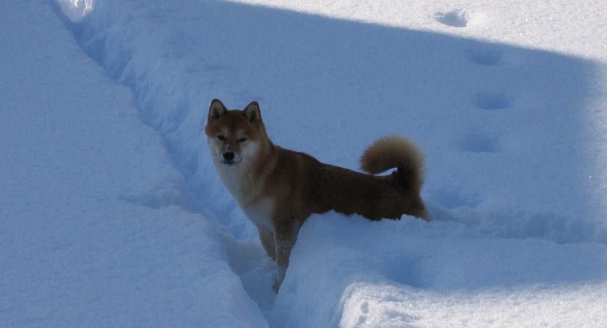 winter5