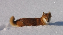winter3