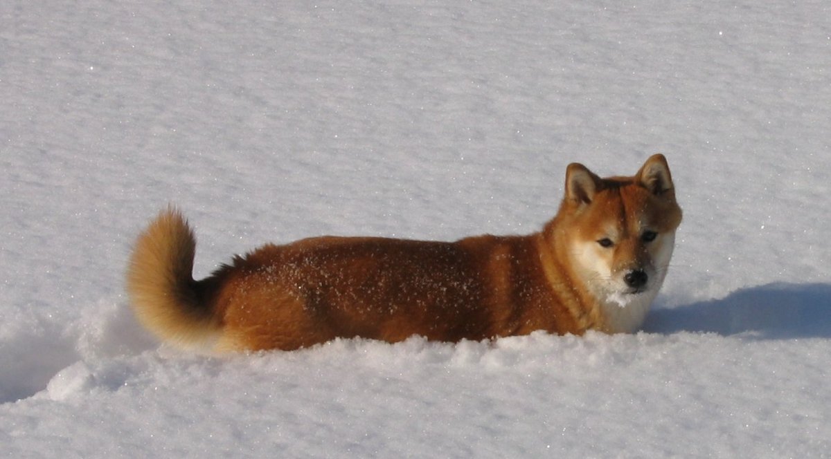 winter3