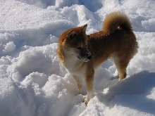 winter4