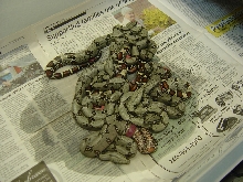 Peruvian litter