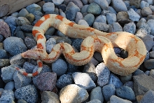 Outside photo