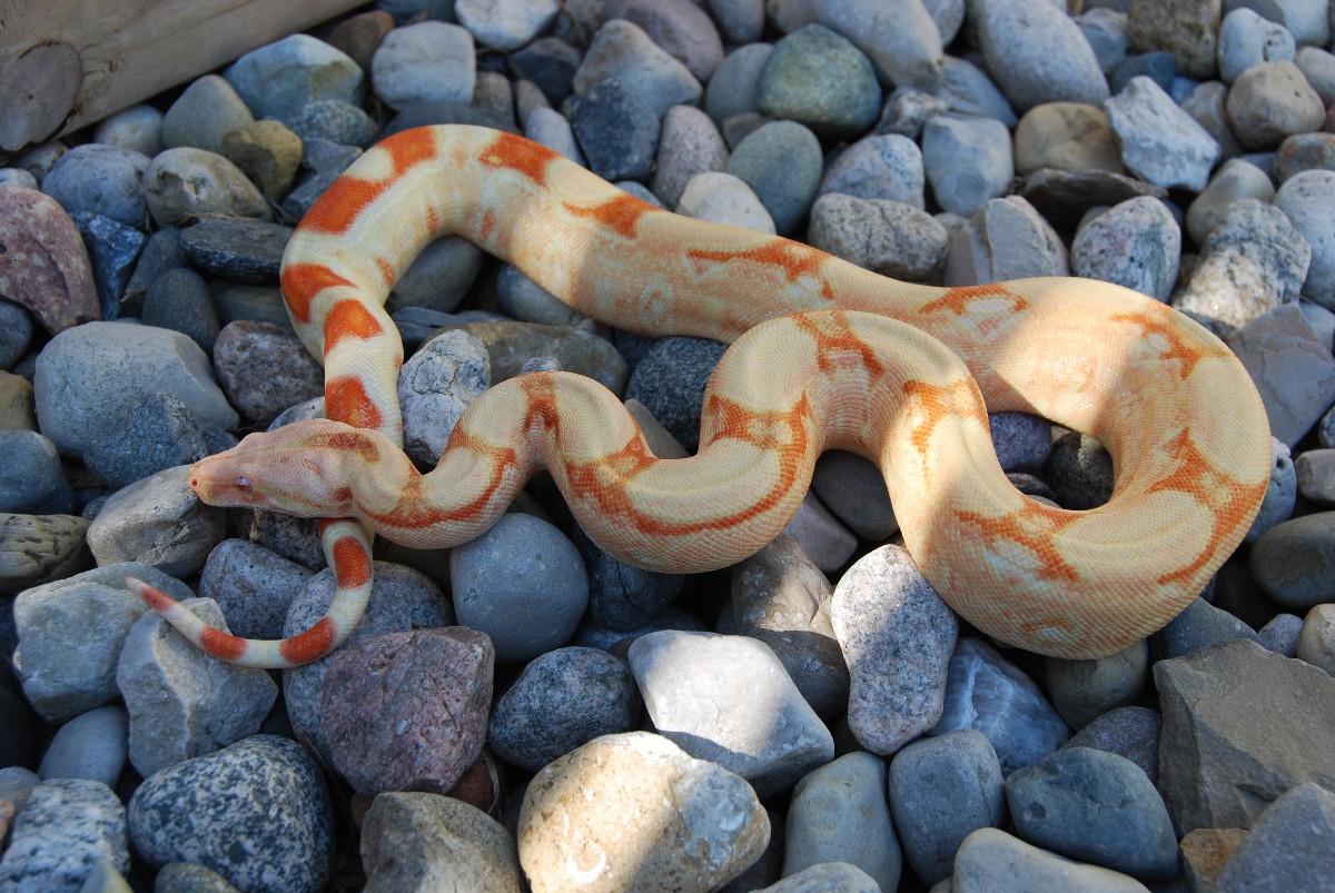 Outside photo