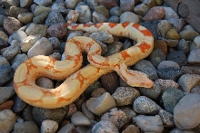 Outside photo