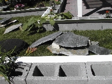 Pancake Tortoise outdoor enclosure
