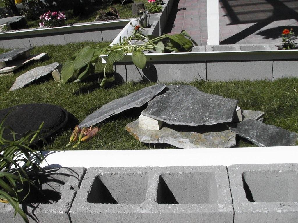 Pancake Tortoise outdoor enclosure