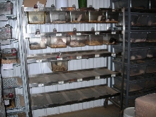 Stainless Steel Rodent Rack