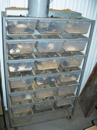 ARS 3021 Rat Rack
