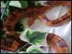 fred2