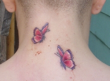 Butterflies