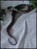 yearling2