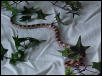 yearling3