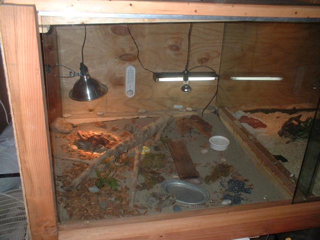 savannah enclosure